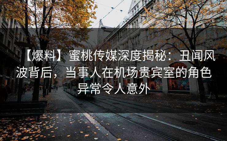 【爆料】蜜桃传媒深度揭秘：丑闻风波背后，当事人在机场贵宾室的角色异常令人意外
