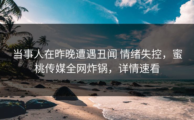 当事人在昨晚遭遇丑闻 情绪失控，蜜桃传媒全网炸锅，详情速看