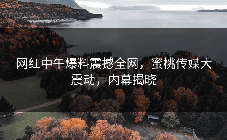 网红中午爆料震撼全网，蜜桃传媒大震动，内幕揭晓
