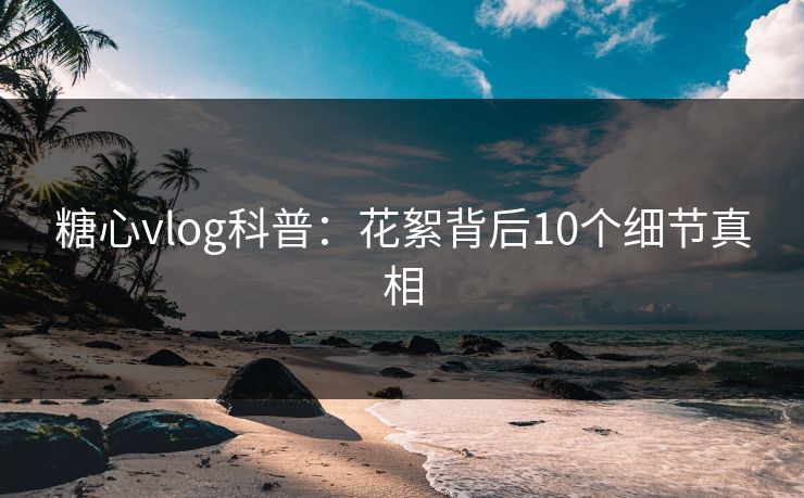 糖心vlog科普：花絮背后10个细节真相