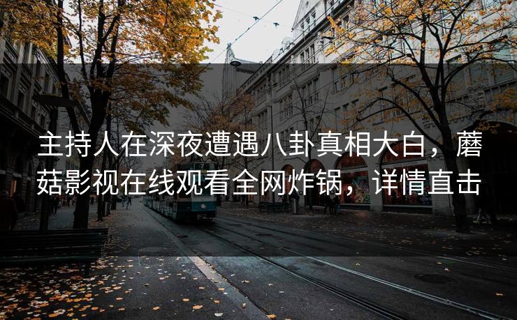 主持人在深夜遭遇八卦真相大白，蘑菇影视在线观看全网炸锅，详情直击