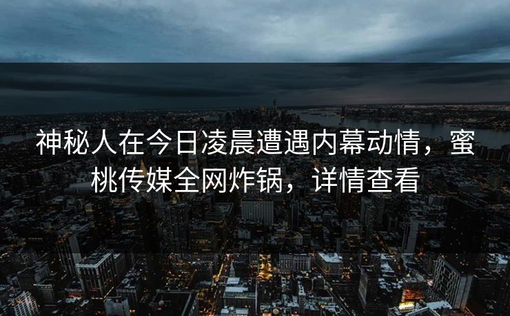 神秘人在今日凌晨遭遇内幕动情，蜜桃传媒全网炸锅，详情查看