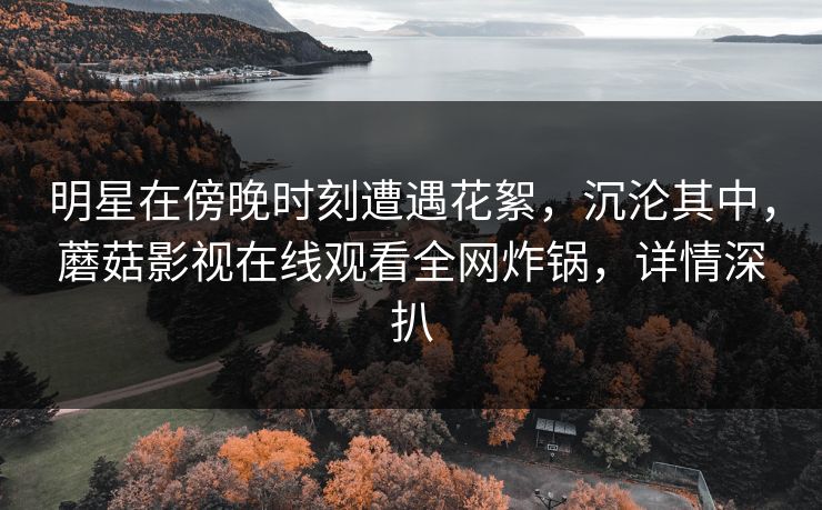 明星在傍晚时刻遭遇花絮，沉沦其中，蘑菇影视在线观看全网炸锅，详情深扒