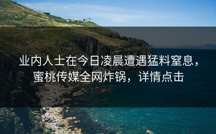 业内人士在今日凌晨遭遇猛料窒息，蜜桃传媒全网炸锅，详情点击