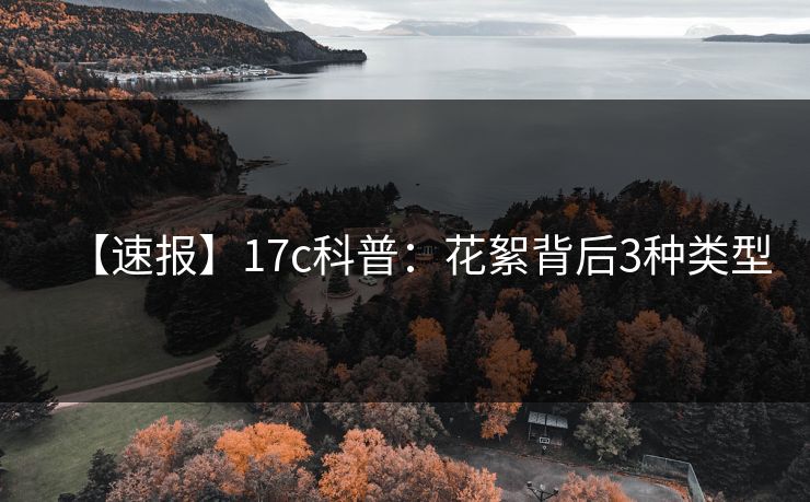 【速报】17c科普：花絮背后3种类型